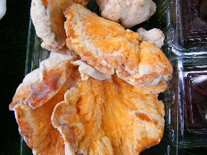 20080920 ���T�̔����ł�_7