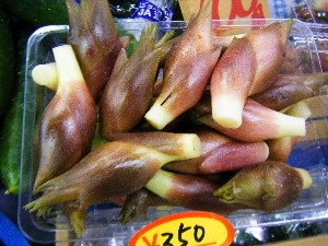 20080920 ���T�̔����ł�_13