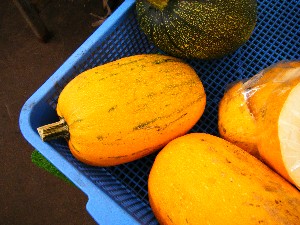 20080920 ���T�̔����ł�_20