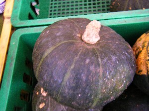 20080920 ���T�̔����ł�_21
