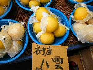 20080920 ���T�̔����ł�_35