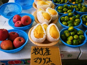 20080920 ���T�̔����ł�_36
