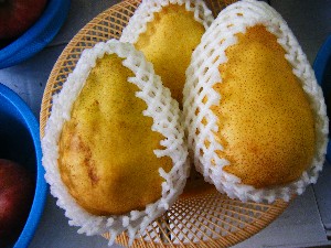 20080920 ���T�̔����ł�_37