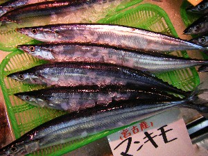 20080920 ���T�̔����ł�_1