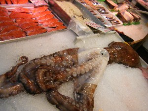 20080927 ���T�̔����ł�_51
