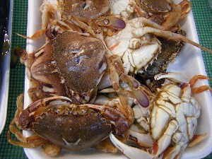 20080927 ���T�̔����ł�_58