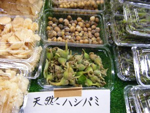 20081004 ���T�̔����ł�_7