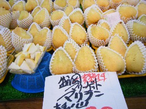 20081004 ���T�̔����ł�_14