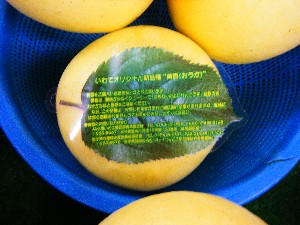 20081004 ���T�̔����ł�_16