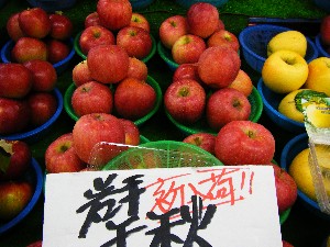 20081004 ���T�̔����ł�_19