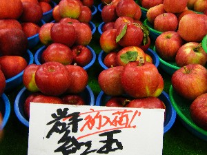 20081004 ���T�̔����ł�_21