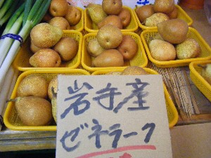 20081004 ���T�̔����ł�_38