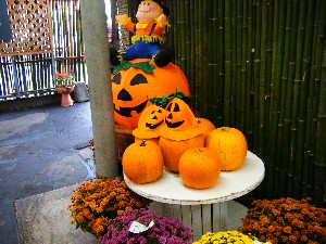 20081011 ���T�̔����ł�_1