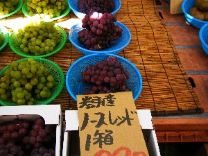 20081011 ���T�̔����ł�_30
