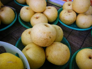 20081011 ���T�̔����ł�_32