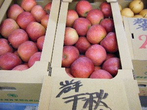 20081011 ���T�̔����ł�_45