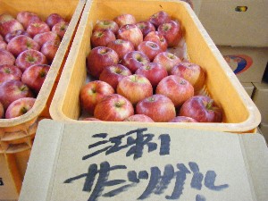20081011 ���T�̔����ł�_47