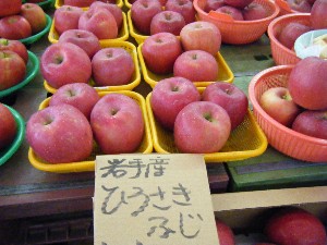 20081011 ���T�̔����ł�_48