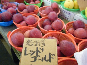20081011 ���T�̔����ł�_50