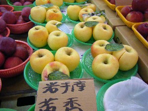 20081011 ���T�̔����ł�_52