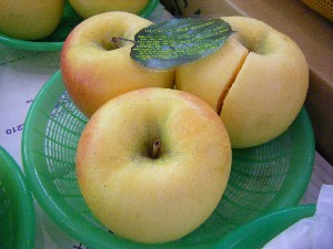 20081011 ���T�̔����ł�_53