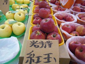 20081011 ���T�̔����ł�_54