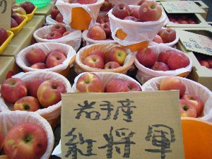 20081011 ���T�̔����ł�_56