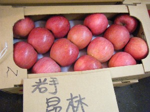 20081011 ���T�̔����ł�_58