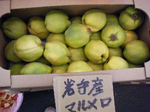 20081011 ���T�̔����ł�_60