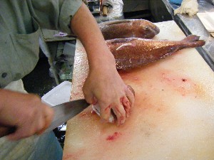 20081011 ��̍ق�����_5