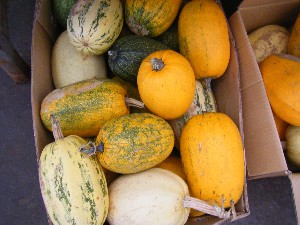 20081018 ���T�̔����ł�_7