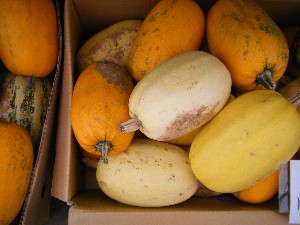 20081018 ���T�̔����ł�_8