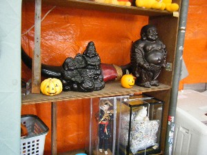 20081018 �J�{�R��_13
