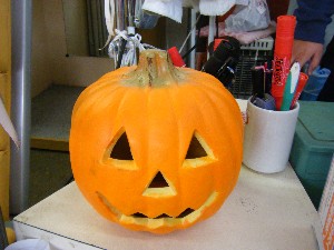 20081018 �J�{�R��_17
