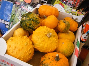 20081018 ���T�̔����ł�_20