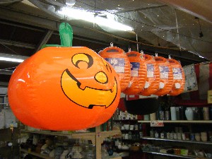 20081018 �J�{�R��_23