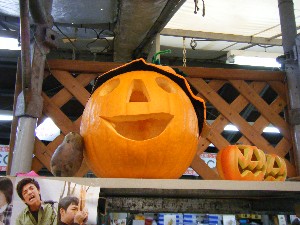 20081018 �J�{�R��_27