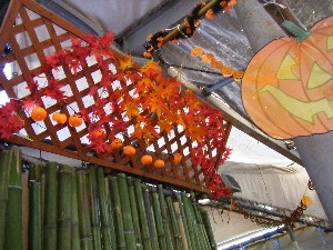 20081018 �J�{�R��_29
