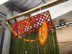 20081018 �J�{�R��_31