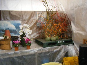 20081018 �J�{�R��_33
