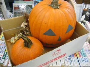 20081018 �J�{�R��_35