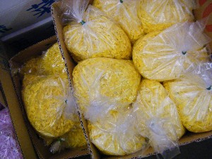 20081018 ���T�̔����ł�_29