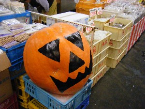 20081018 �J�{�R��_43