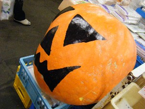 20081018 �J�{�R��_44