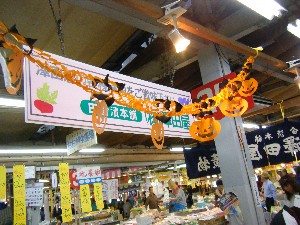 20081018 �J�{�R��_45