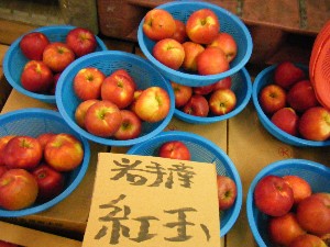 20081018 ���T�̔����ł�_47