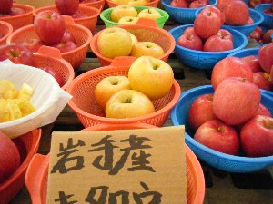 20081018 ���T�̔����ł�_51
