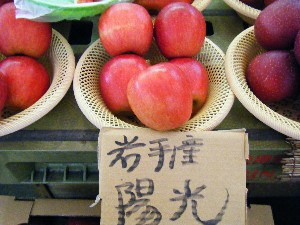 20081018 ���T�̔����ł�_54