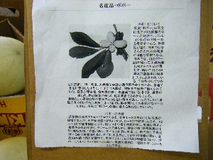 20081018 ���T�̔����ł�_57