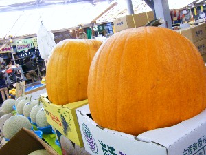 20081018 �J�{�R��_77
